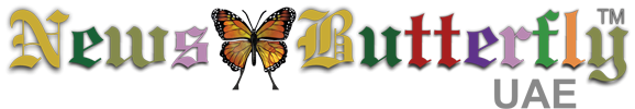 News Butterfly